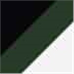 Forest Green with Black and White