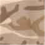 Desert Camo