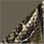Cargo Brown with Realtree Edge