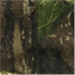 Mossy Oak Break Up