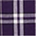 Purple with White Plaid