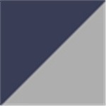 Navy and Silver
