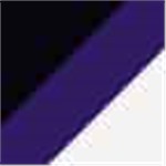 Purple with Black and White