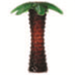 Palm