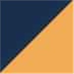 True Navy with Gold