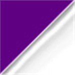 Purple with Clear Strap