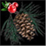 Black With Holiday Aroma