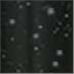 Black Speckle