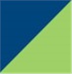 Navy with Lime Green