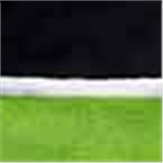 Black with Lime and White