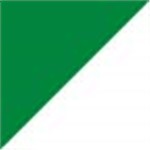 White with Kelly Green