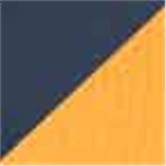 Navy Blue with Gold