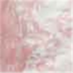 Pink and White