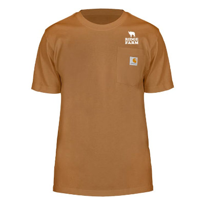 Custom logoed Carhartt brown short-sleeve t-shirt.
