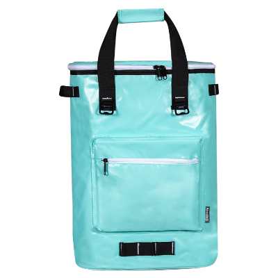 Blank mint cooler backpack.
