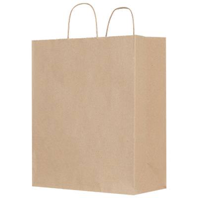 Blank kraft paper bag.