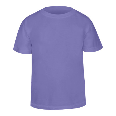 Blank boysenberry youth t-shirt.