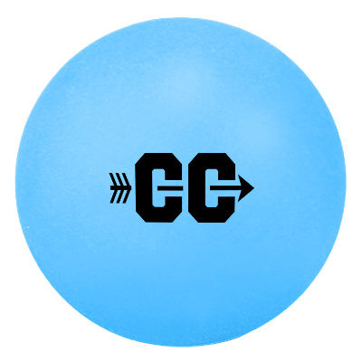 Blue plastic ping pong ball with a personalized logo.