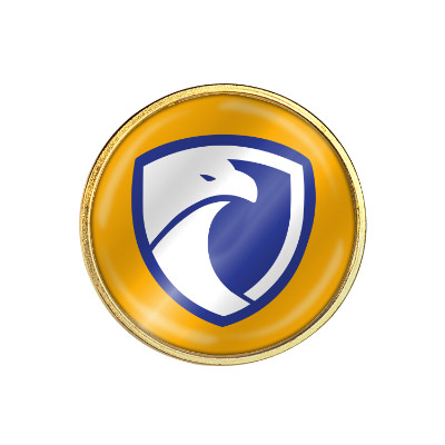 Brass lapel pin with a custom logo.