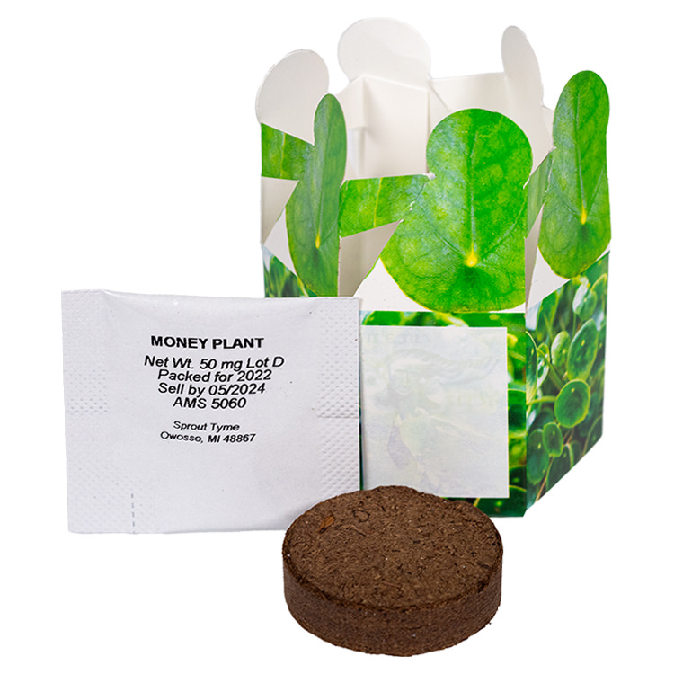Sample Product