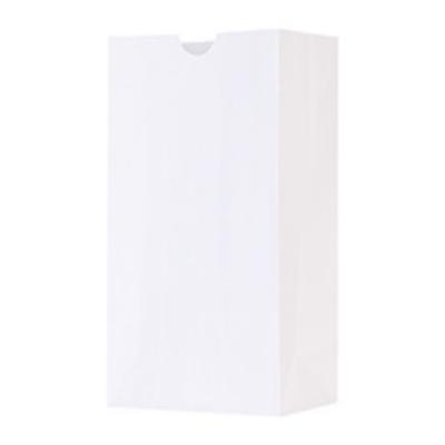 Paper kraft eco recyclable bag blank.