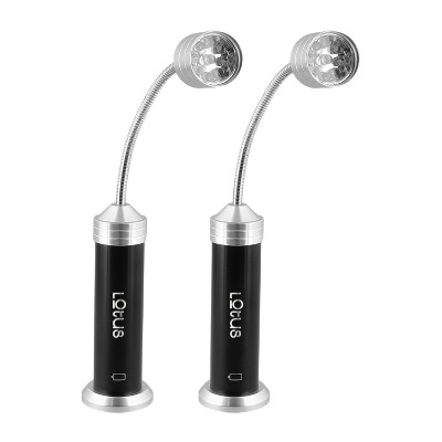 LED grill lights with custom engraved logo.