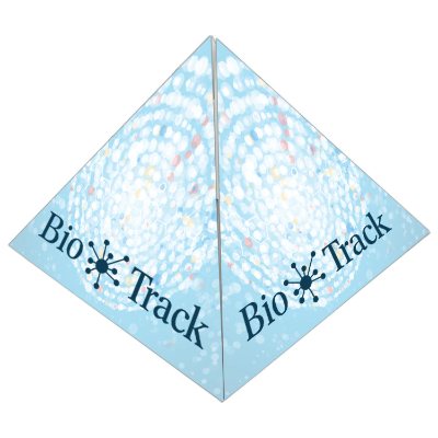 White custom hershey's kisses in full color pyramid box.