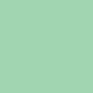 Mint Can Cooler Imprint Color