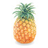SPF 15 Tropical