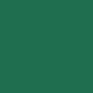 Forest Green Can Cooler Imprint Color
