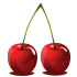 Cherry Cherry