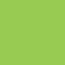 Lime Green Can Cooler Imprint Color