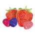 Mixed Berry