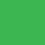 Kelly Green Can Cooler Imprint Color
