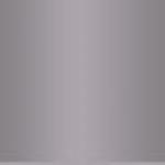 Metallic Silver