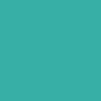Teal Can Cooler Imprint Color