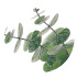 Eucalyptus Eucalyptus